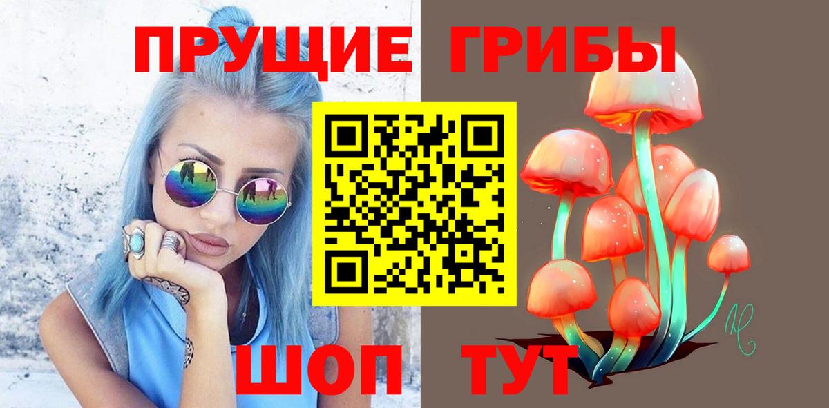 Стрежевой  Псилоцибиновые грибы Cubensis  Вход с VPN  Псилоцибиновые грибы мицелий 